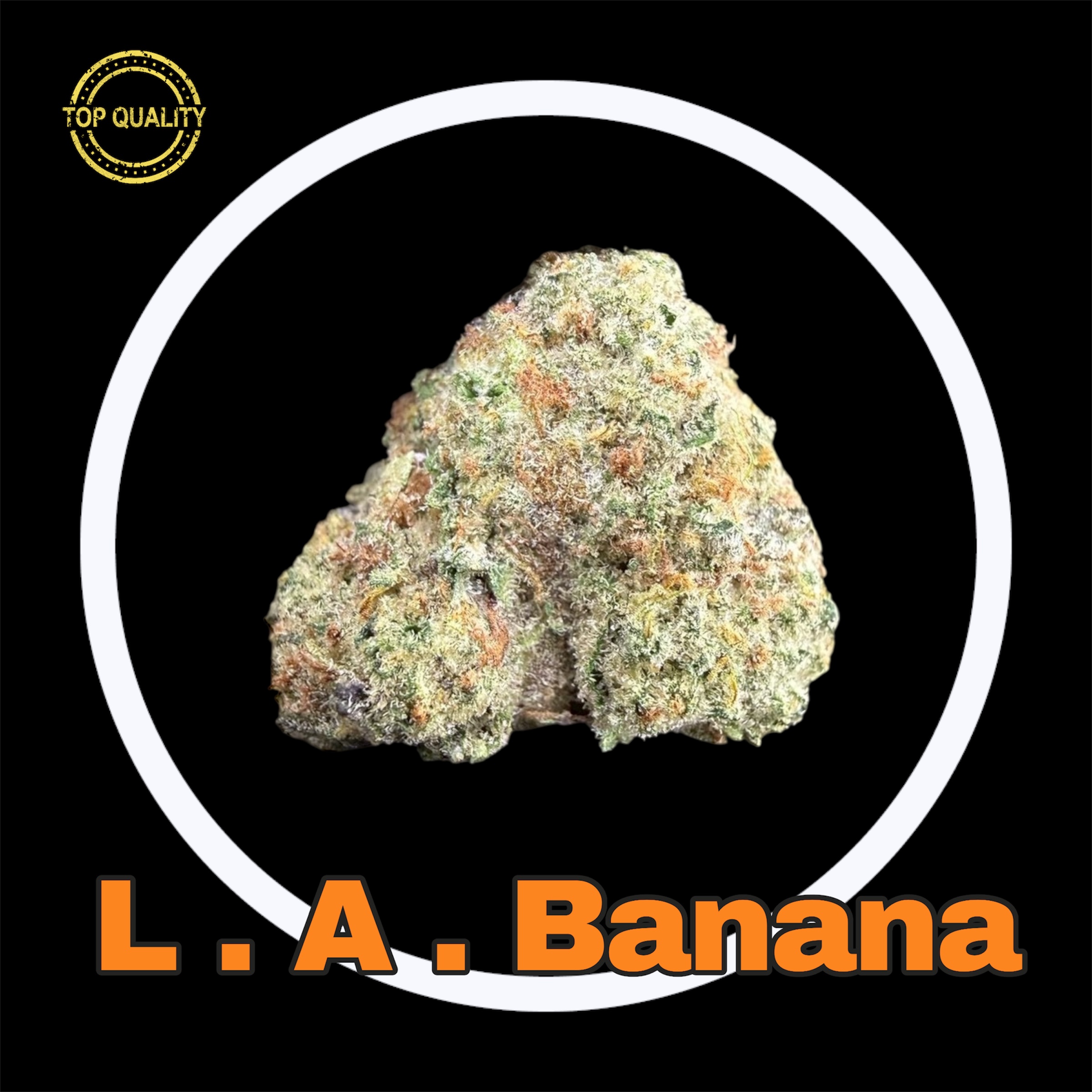 17-03-26 10-55-44pm.jpg